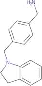 1-{4-[(2,3-Dihydro-1H-indol-1-yl)methyl]phenyl}methanamine