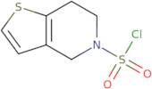 6,7-Dihydrothieno[3,2-c]pyridine-5(4H)-sulfonyl chloride