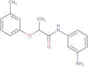 N-(3-Aminophenyl)-2-(3-methylphenoxy)propanamide