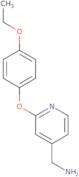 [2-(4-Ethoxyphenoxy)pyridin-4-yl]methanamine