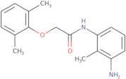 N-(3-Amino-2-methylphenyl)-2-(2,6-dimethylphenoxy) propanamide