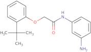 N-(3-Aminophenyl)-2-[2-(tert-butyl)phenoxy]-acetamide