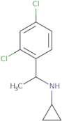 N-[1-(2,4-Dichlorophenyl)ethyl]cyclopropanamine