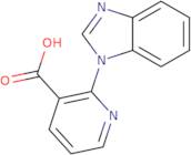 2-(1H-1,3-Benzodiazol-1-yl)pyridine-3-carboxylic acid