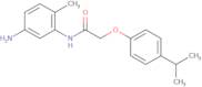 N-(5-Amino-2-methylphenyl)-2-(4-isopropylphenoxy)-acetamide