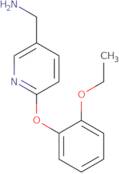 [6-(2-Ethoxyphenoxy)pyridin-3-yl]methanamine