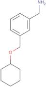 {3-[(Cyclohexyloxy)methyl]phenyl}methanamine