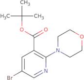 5-Bromo-2-morpholin-4-yl-nicotinic acid tert-butyl ester