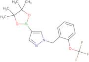 4-(4,4,5,5-Tetramethyl-1,3,2-dioxaborolan-2-yl)-1-(2-(trifluoromethoxy)benzyl)-1H-pyrazole