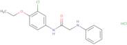 N-(3-Chloro-4-ethoxyphenyl)-2-(phenylamino)acetamide hydrochloride