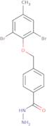 4-(2,6-Dibromo-4-methylphenoxymethyl)benzohydrazide