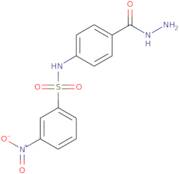 N-[4-(Hydrazinecarbonyl)phenyl]-3-nitrobenzene-1-sulfonamide