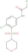 2-Chloro-N-[4-chloro-3-(morpholine-4-sulfonyl)phenyl]acetamide