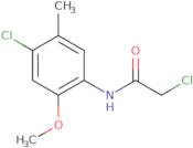 2-Chloro-N-(4-chloro-2-methoxy-5-methylphenyl)acetamide