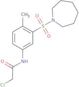 N-[3-(Azepane-1-sulfonyl)-4-methylphenyl]-2-chloroacetamide