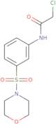 2-Chloro-N-[3-(morpholine-4-sulfonyl)phenyl]acetamide