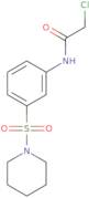 2-Chloro-N-[3-(piperidine-1-sulfonyl)phenyl]acetamide