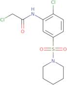 2-Chloro-N-[2-chloro-5-(piperidine-1-sulfonyl)phenyl]acetamide