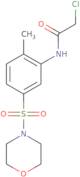 2-Chloro-N-[2-methyl-5-(morpholine-4-sulfonyl)phenyl]acetamide