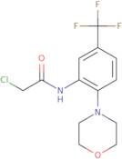 2-Chloro-N-[2-(morpholin-4-yl)-5-(trifluoromethyl)phenyl]acetamide