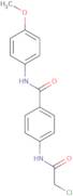 4-(2-Chloroacetamido)-N-(4-methoxyphenyl)benzamide