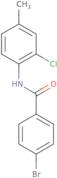 4-Bromo-N-(2-chloro-4-methylphenyl)benzamide