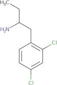 1-(2,4-Dichlorophenyl)butan-2-amine
