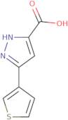 5-(thiophen-3-yl)-1H-pyrazole-3-carboxylic acid