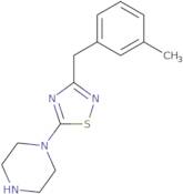 1-{3-[(3-Methylphenyl)methyl]-1,2,4-thiadiazol-5-yl}piperazine