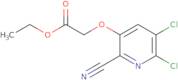 ethyl 2-[(5,6-dichloro-2-cyanopyridin-3-yl)oxy]acetate