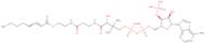 S-(2E)-2-Octenoate coenzyme A