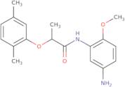 Piperidine-4-carboxylic acid (pyridin-4-ylmethyl)-amide