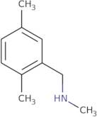 [(2,5-Dimethylphenyl)methyl](methyl)amine