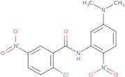 2-Chloro-N-[5-(dimethylamino)-2-nitrophenyl]-5-nitrobenzamide