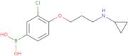 (3-Chloro-4-(3-(cyclopropylamino)propoxy)phenyl)boronic acid