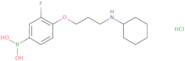 (4-(3-(Cyclohexylamino)propoxy)-3-fluorophenyl)boronic acid hydrochloride