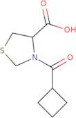 3-Cyclobutanecarbonyl-1,3-thiazolidine-4-carboxylic acid