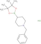 1-Benzyl-piperidine-4-boronic acid pinacol ester hydrochloride