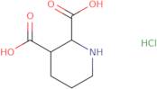 Piperidine-2,3-dicarboxylic acid hydrochloride