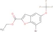 Ethyl 7-bromo-5-(trifluoromethoxy)benzofuran-2-carboxylate