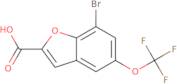 7-Bromo-5-(trifluoromethoxy)benzofuran-2-carboxylic acid