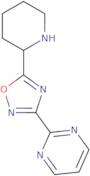 2-[5-(Piperidin-2-yl)-1,2,4-oxadiazol-3-yl]pyrimidine