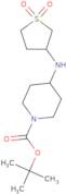 tert-Butyl 4-[(1,1-dioxo-1Î»â¶-thiolan-3-yl)amino]piperidine-1-carboxylate