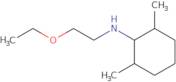 N-(2-Ethoxyethyl)-2,6-dimethylcyclohexan-1-amine