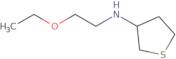 N-(2-Ethoxyethyl)thiolan-3-amine