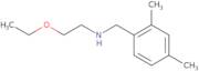 [(2,4-Dimethylphenyl)methyl](2-ethoxyethyl)amine