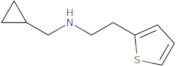 (Cyclopropylmethyl)[2-(thiophen-2-yl)ethyl]amine