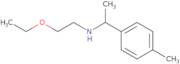 N-(2-Ethoxyethyl)-1-(4-methylphenyl)ethanamine