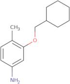 3-(Cyclohexylmethoxy)-4-methylaniline