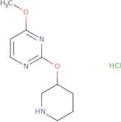 4-Methoxy-2-(piperidin-3-yloxy)pyrimidine hydrochloride